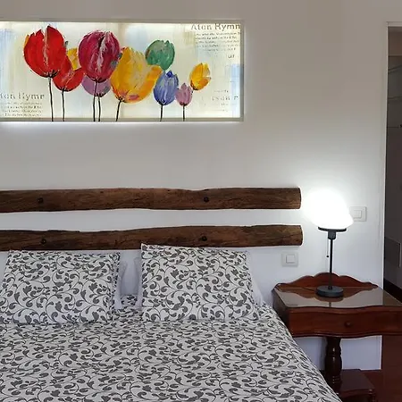 Casa Testeyna *